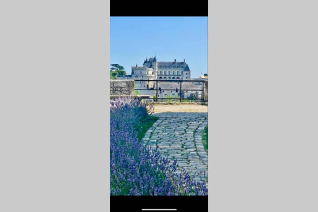 Le 17 Entre Gare Et Chateau Amboise Exteriér fotografie